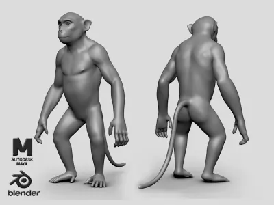 Monkey BaseMesh Low-poly 3D model