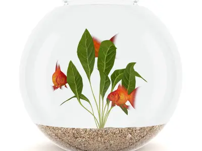 Small Spherical Aquarium 3D model