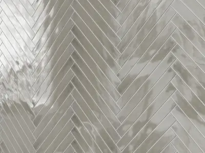 Carolina Polished Ceramic Tile 3D model