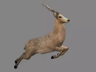 Next Gen AAA Royal Deer - Rigged Low-poly 3D model
