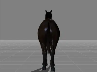 horse v1 Low-poly 3D model
