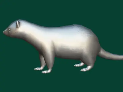 European Polecat  Low-poly 3D model