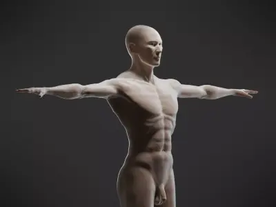 Human Body Man realistic 3D model