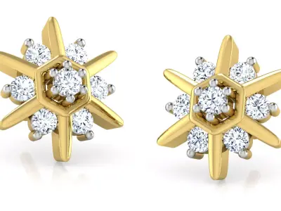 Star Shaped Diamond Earring  3D print model