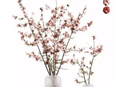 Flower In Vase Collection 04