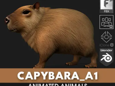 Capybara-A1 3D model