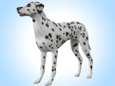 Dalmatian Dog  Low-poly 3D model