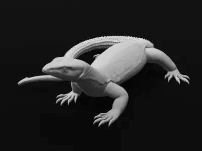 Ackie Monitor - Spiny Tailed Monitor - Lizard Reptile 3D Print 3D print model