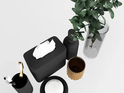 Bathroom Set of toiletries and plant 3D model