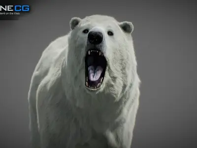 Animated Polar Bear 3D model
