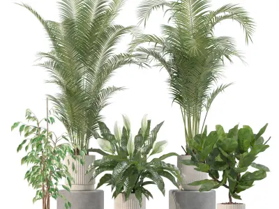 20 Photorealistic Flowers for Interiors - set 205 209 213 218 3D Model Collection