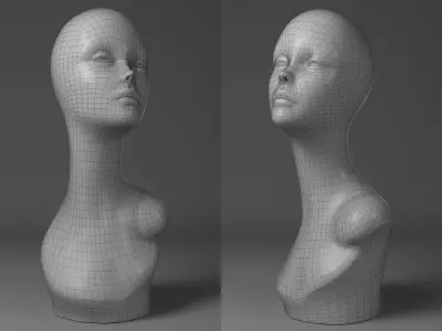 Female Mannequin Bust  3D model