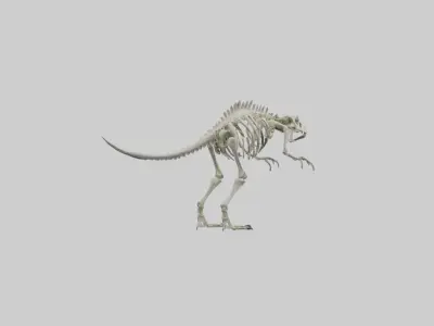 guanodon Skeleton model Low-poly 3D model