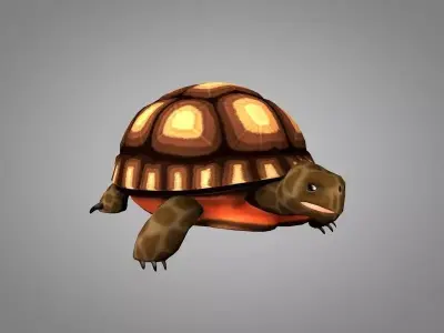 Turtle Low-poly 3D model