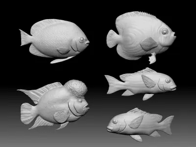 Sea fish 3D print model