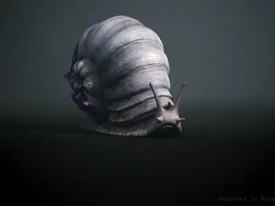 Land snail3 - Game Ready Low-poly 3D model Low-poly 3D model