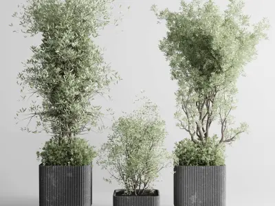 Indoor plant set 332 plant tree vase dirty concrete Low-poly 3D model