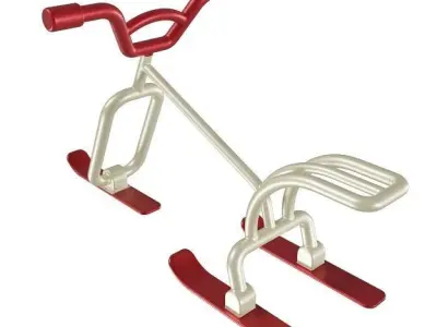 Kids Skating Bike 3D model