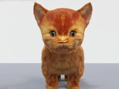 Fur Cute Cat kitten Red 02 No Rig Low-poly 3D model