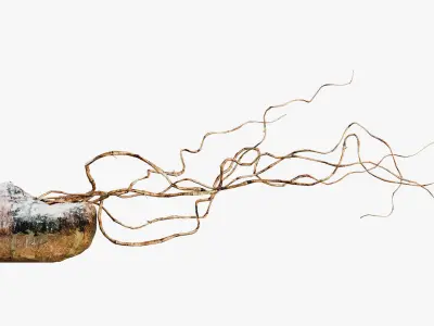 Decorative vase THREE by Tala Vovk 3D model