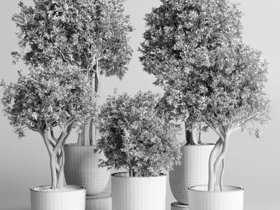 Collection Indoor outdoor plant 161 concrete dirt vase pot tree  Low-poly 3D model