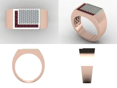 Ring ak 1 3D print model