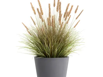 Plants in a flowerpot for the interior 946 3D model