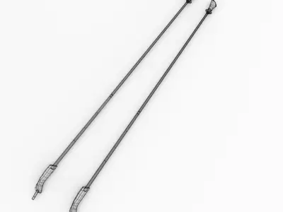 Walking Pole 3D model