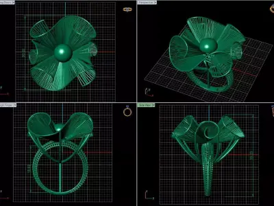 Turkish  Ring 3D print model