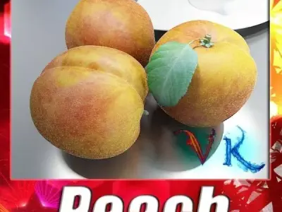 Photorealistic Peach High Resolution 3D model