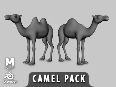 Camel Pack  Low-poly 3D model