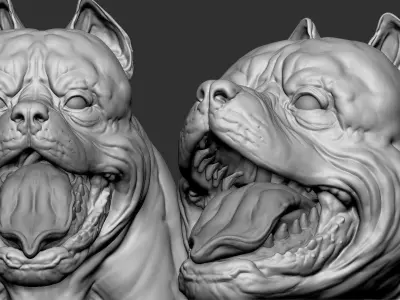 American pit bull terrier model Low-poly 3D model