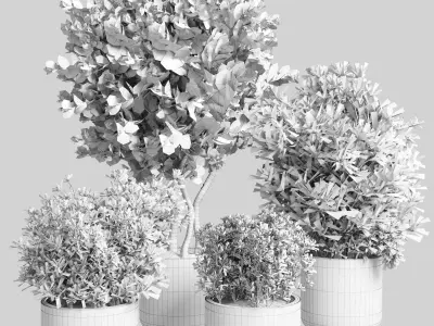 Collection Outdoor plant in concrete pot 15 Low-poly 3D model