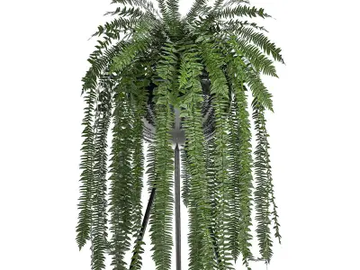 Decorative Fern in a white flowerpot 517 3D model