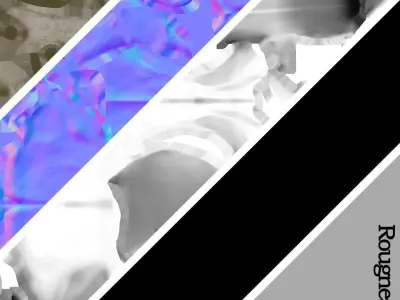  3D Real Cat Skull for GameDev 3D model Low-poly 3D model