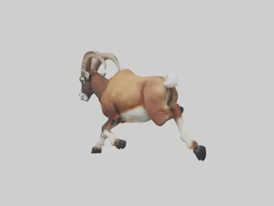 Mouflon running model Low-poly 3D model