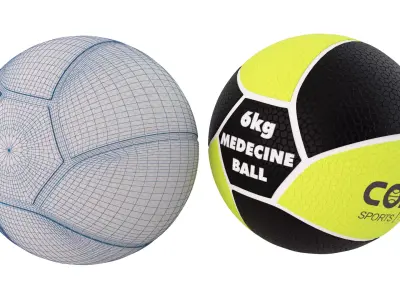 EIGHT PANNEL MEDICINE BALL 3D print model