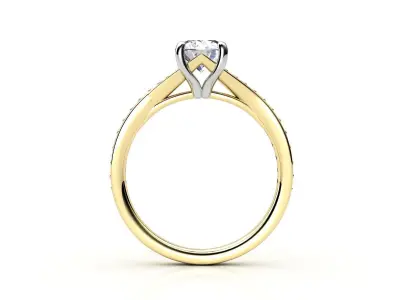 cr-04 person engagement ring gold 3D print model
