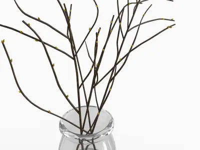 Branches in Glass Vase 3D model
