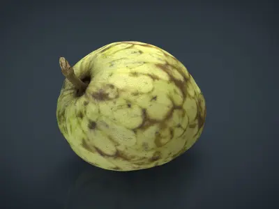 Custard Apple Low-poly 3D model