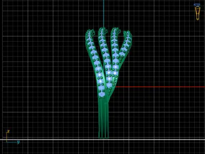 Women Ring 3DM Womens Ring 3d models 3D print model 3D print model 19