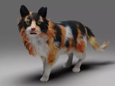 Fur Calico Cat V04 Rigged Low-poly 3D model