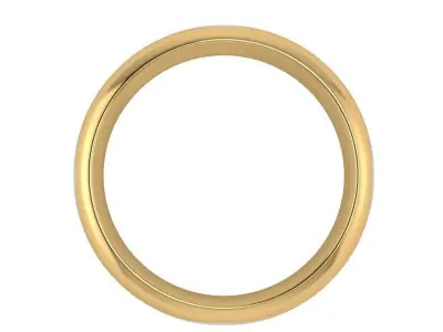 Band Ring 1720 Free 3D print model