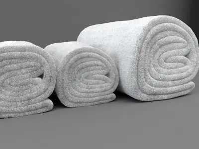 Towel Rolls 3D model