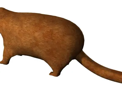Groundhog Textured 3D model