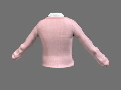 Caton cloth Low-poly 3D model