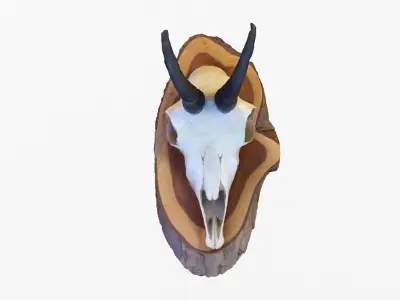 Deer Skull Trophy 2 3D model