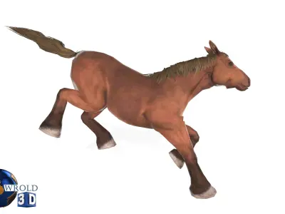 Horse Rigged-Animated Lowpoly 3D Model Collection Pack Low-poly 3D model
