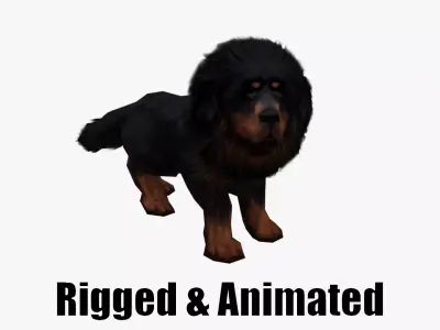 Tibetan Mastiff Dog Low-poly 3D model