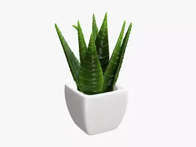 Potted plant decorative 05 3D model